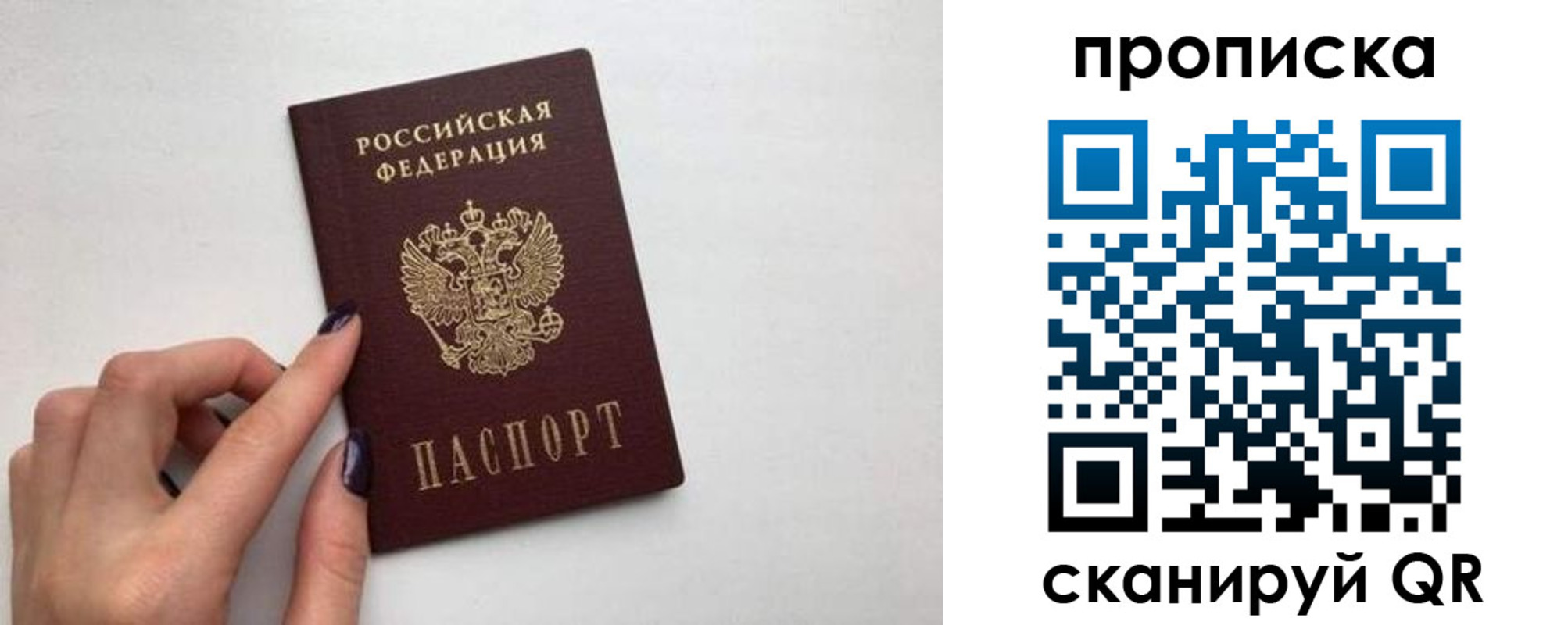 прописка для школы в Чехове